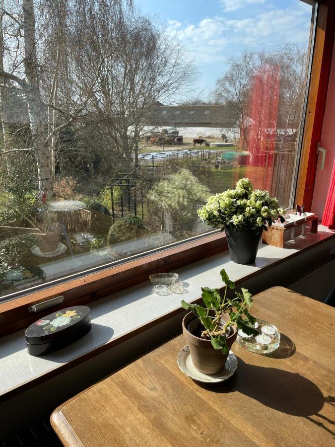 Apartmán Retro Bolig - Fyldt Med Hygge! Ingen Luksus Kolind Exteriér fotografie
